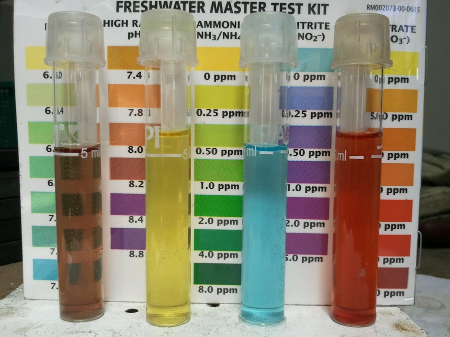 2016-11-04 12.46.43.jpg