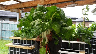 2016-10-30 21.57.54.jpg