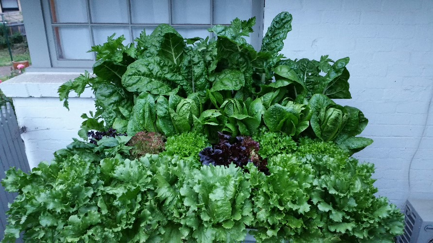 2016-11-04 12.44.29.jpg