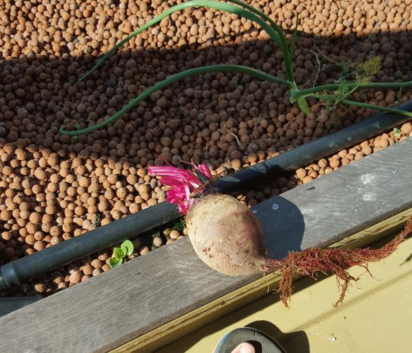 20161101_082308 - Copy.jpg