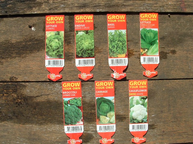 Aquaponics January 13 2008 040.jpg