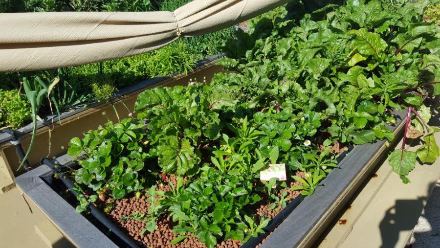 20161101_082326 - Copy.jpg