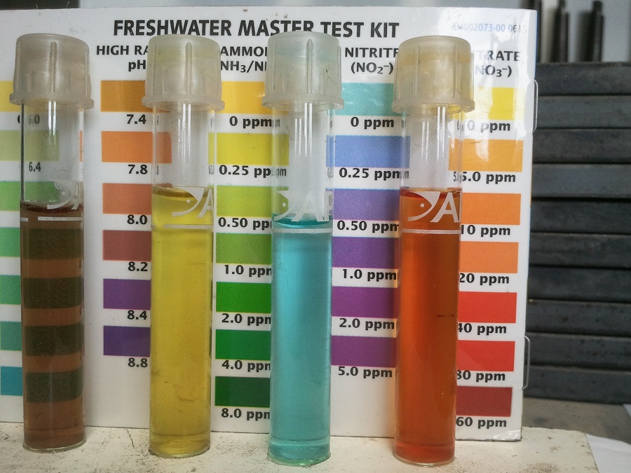 2016-11-06 14.13.50.jpg