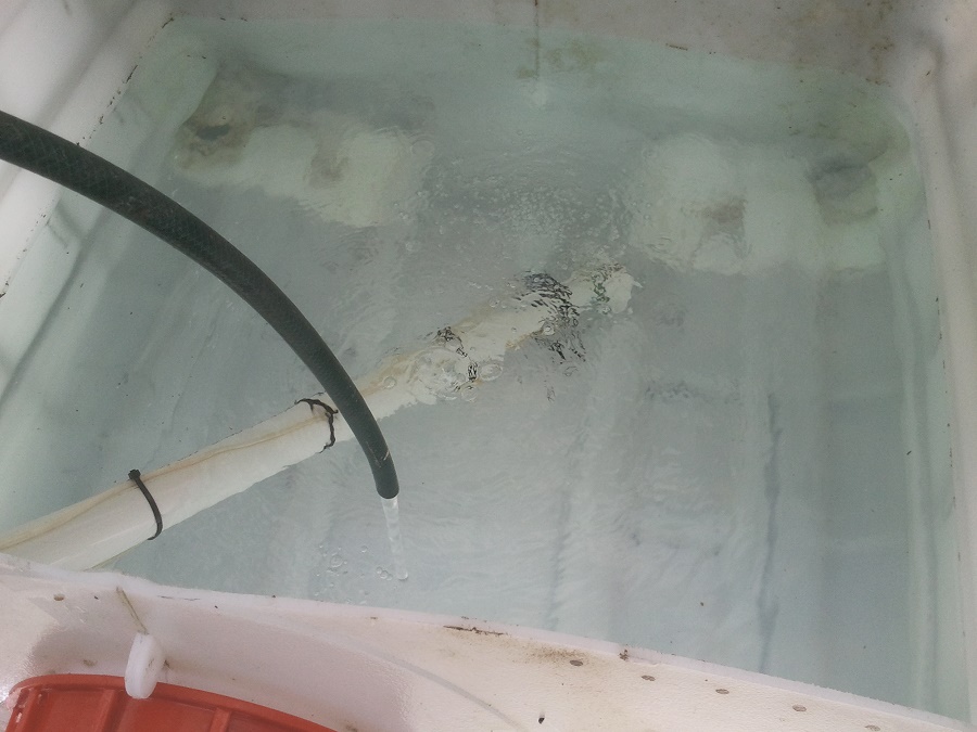 2016-11-08 14.28.27.jpg