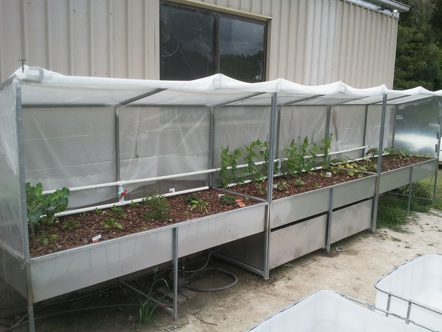 2016-11-10 10.58.35.jpg