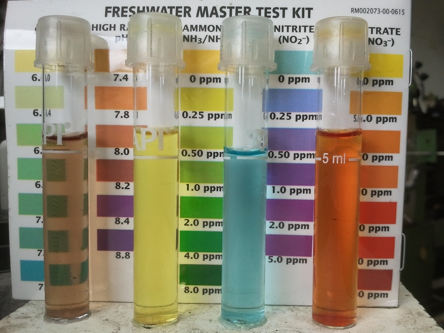 2016-11-10 10.59.35.jpg