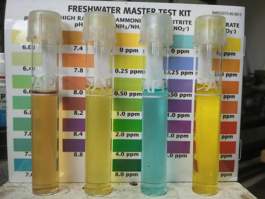 2016-11-10 10.44.45.jpg