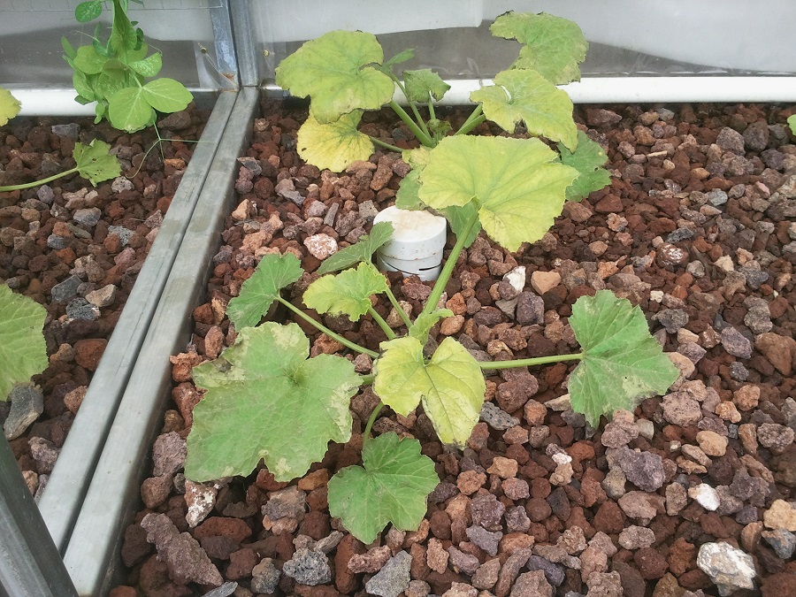 2016-11-10 10.55.20.jpg