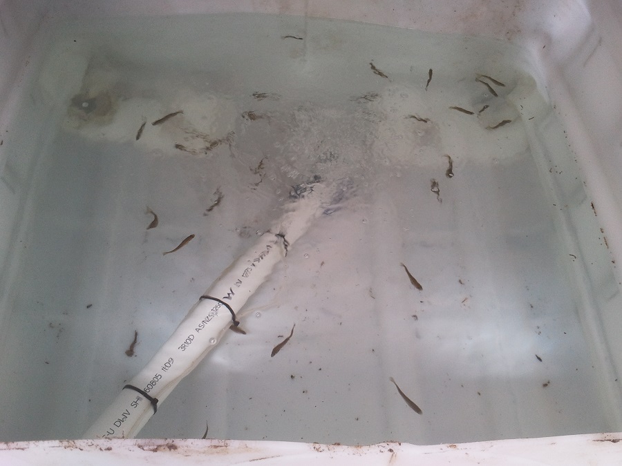 2016-11-11 11.55.07.jpg