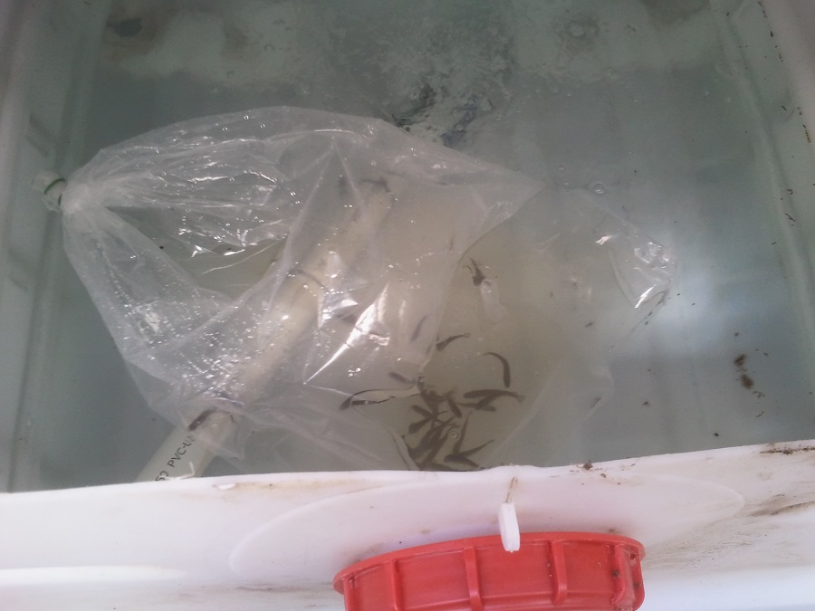 2016-11-11 11.41.06.jpg