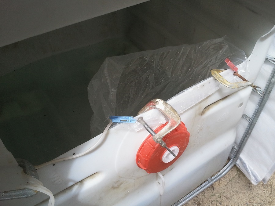 2016-11-13 15.28.42.jpg