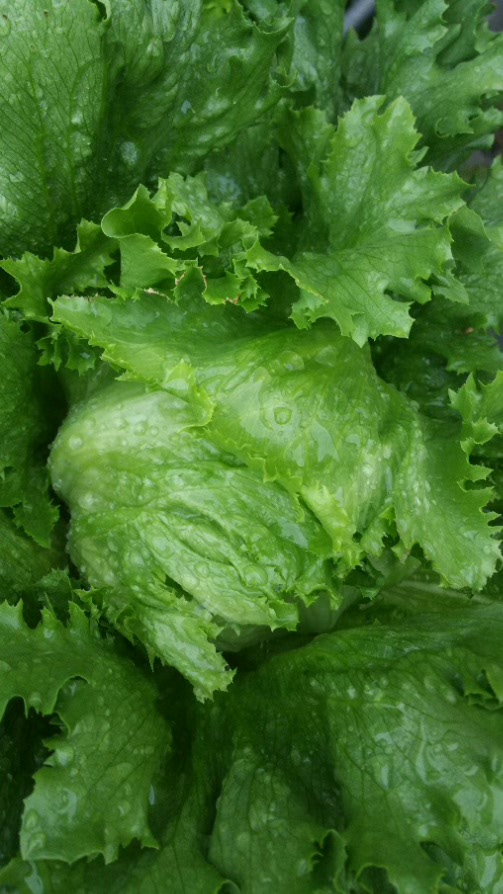 2016-11-13 20.11.32.jpg