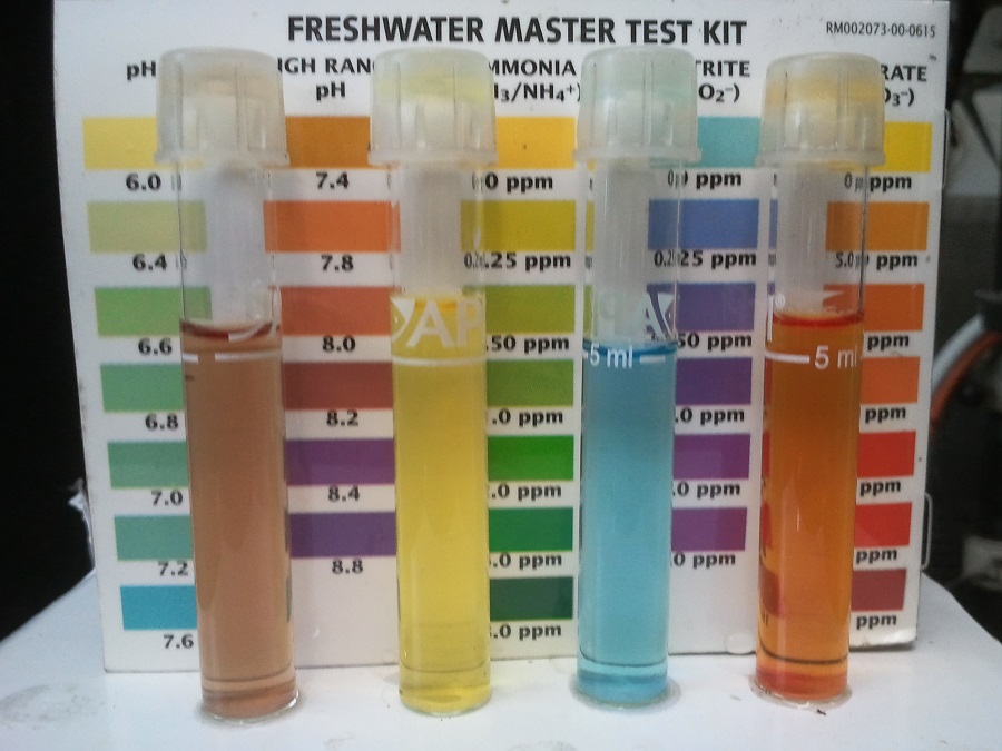 2016-11-14 10.15.16.jpg