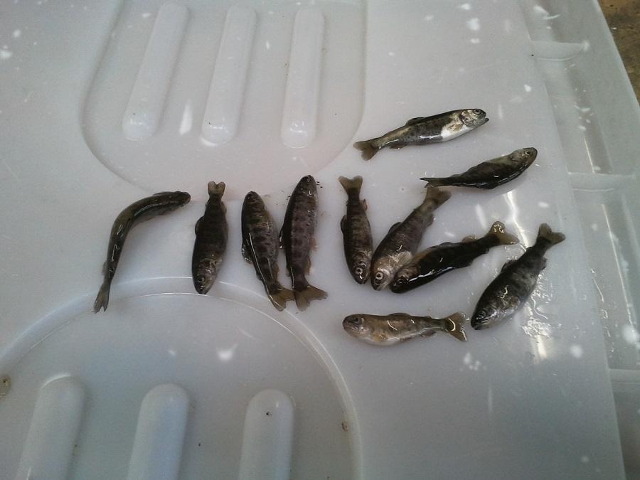 2016-11-14 09.33.29.jpg