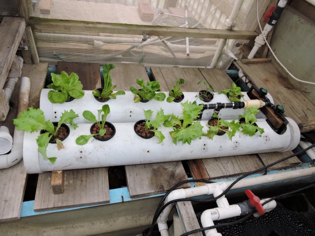 DSCN0517 (Small).JPG