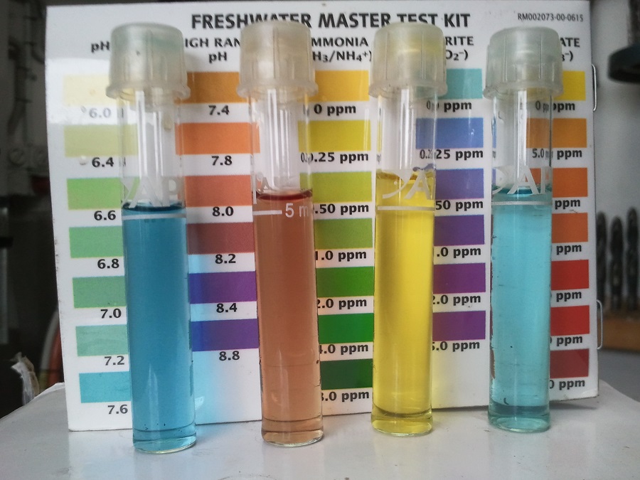 2016-11-15 10.01.34.jpg