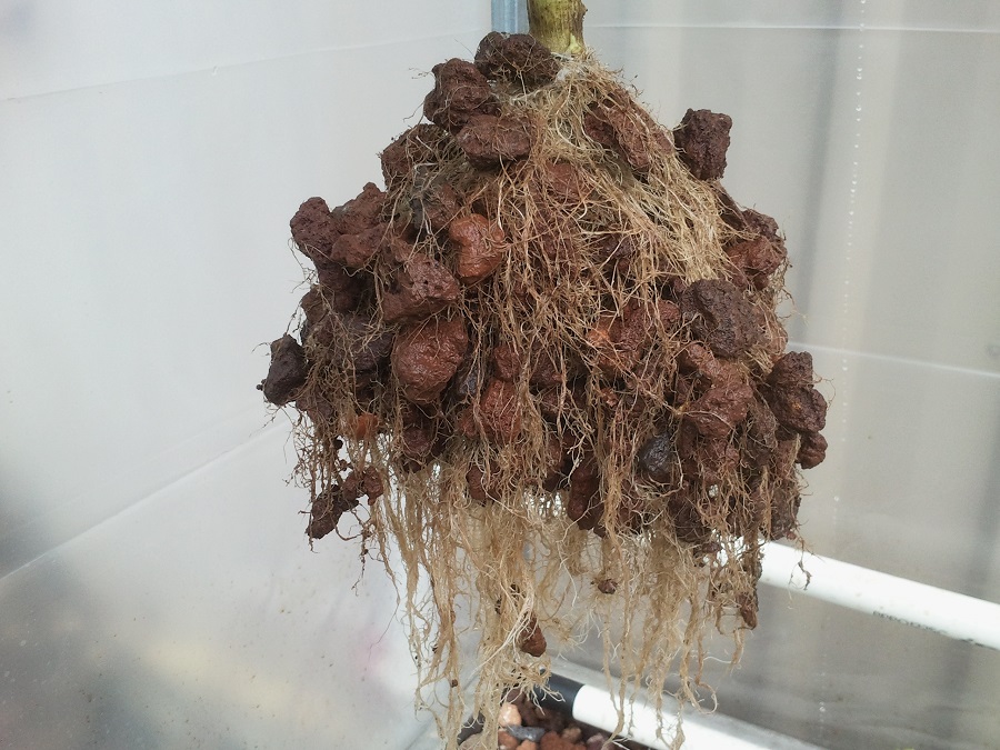 2016-11-15 15.58.49.jpg