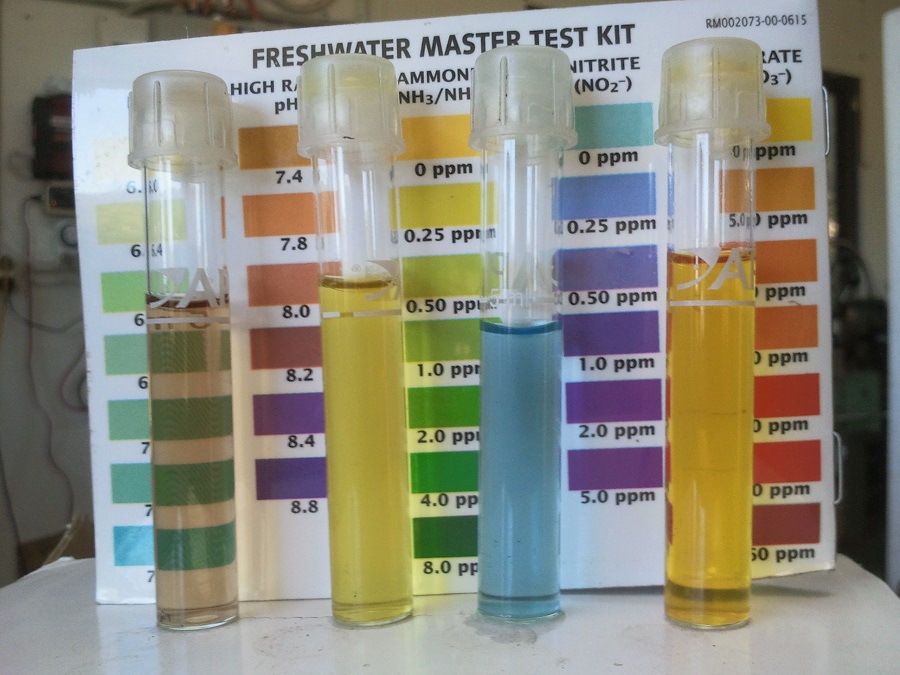 2016-11-17 11.14.30.jpg