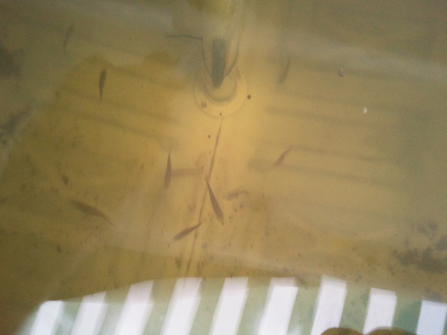 2016-11-20 17.15.30.jpg