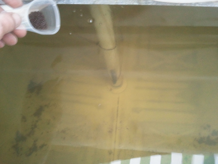 2016-11-20 17.08.54.jpg