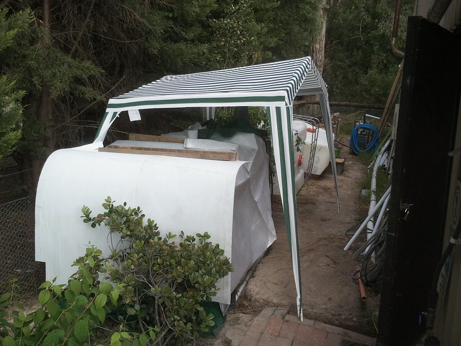 2016-11-20 17.07.33.jpg