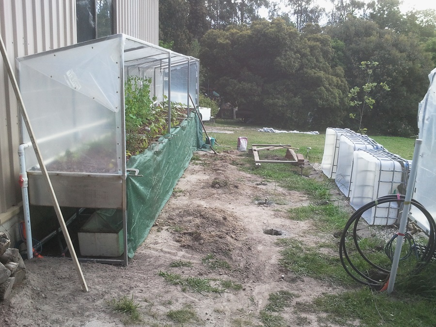 2016-11-20 17.05.39.jpg