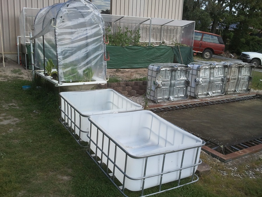 2016-11-20 17.04.37.jpg