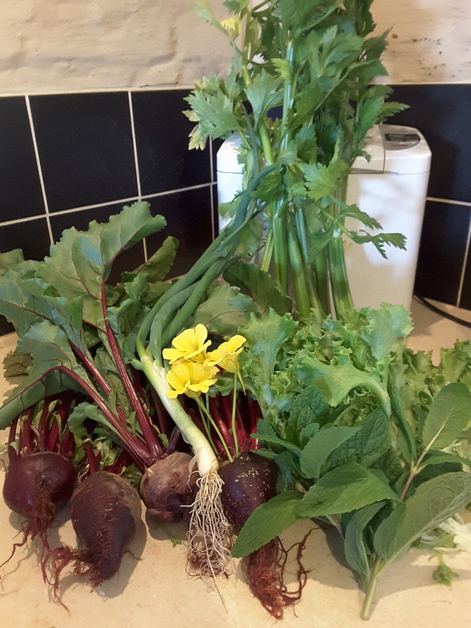 Number 1 rotated.jpg