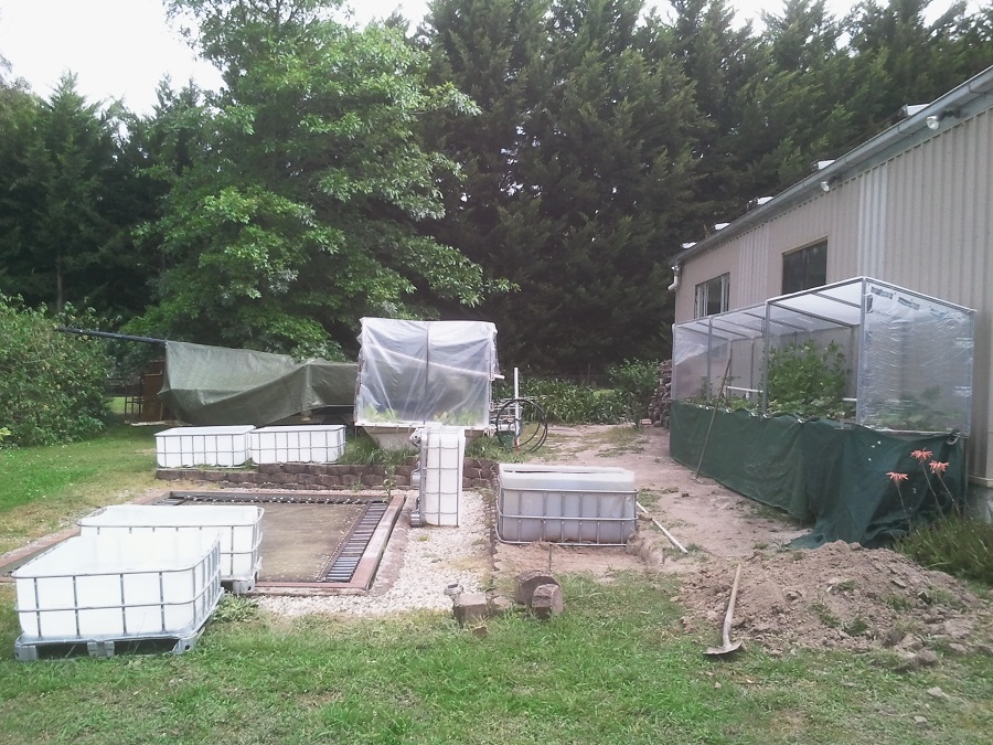 2016-11-21 19.05.35.jpg