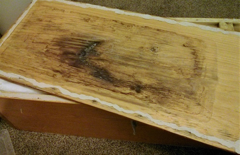 IMG_20161122_222625 - Copy.jpg