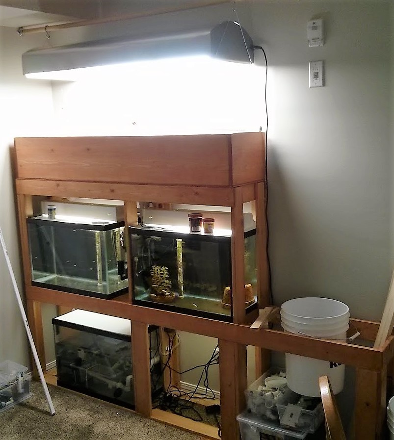 IMG_20150623_232618 - Copy.jpg