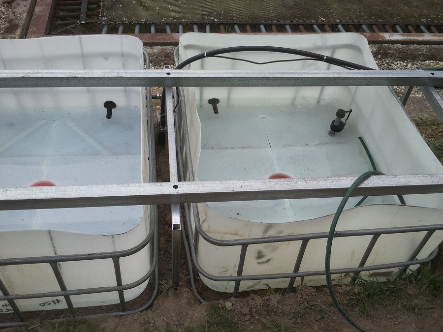 2016-11-27 16.22.08.jpg