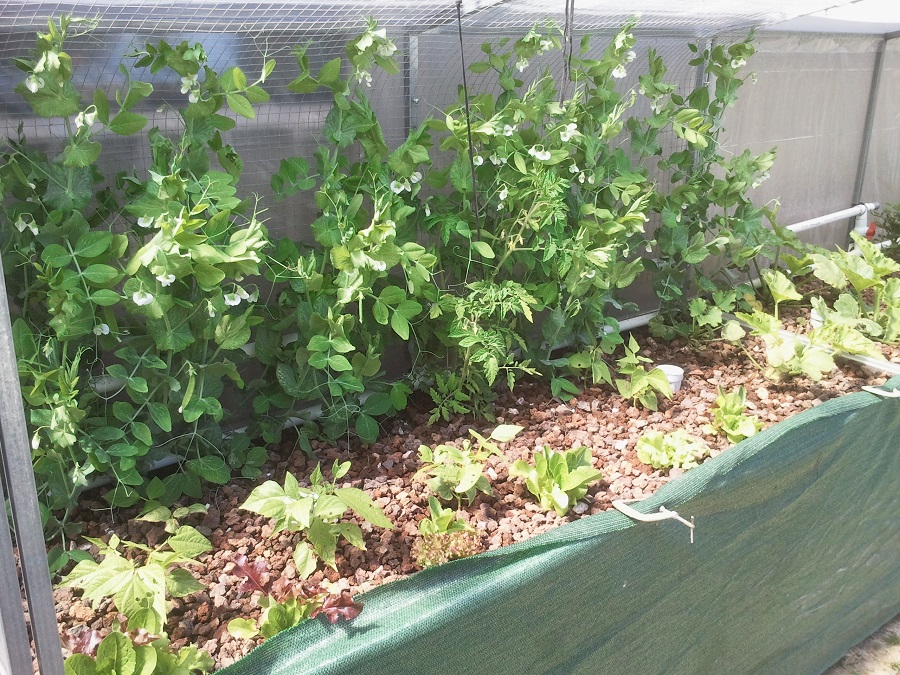 2016-11-29 10.50.24.jpg