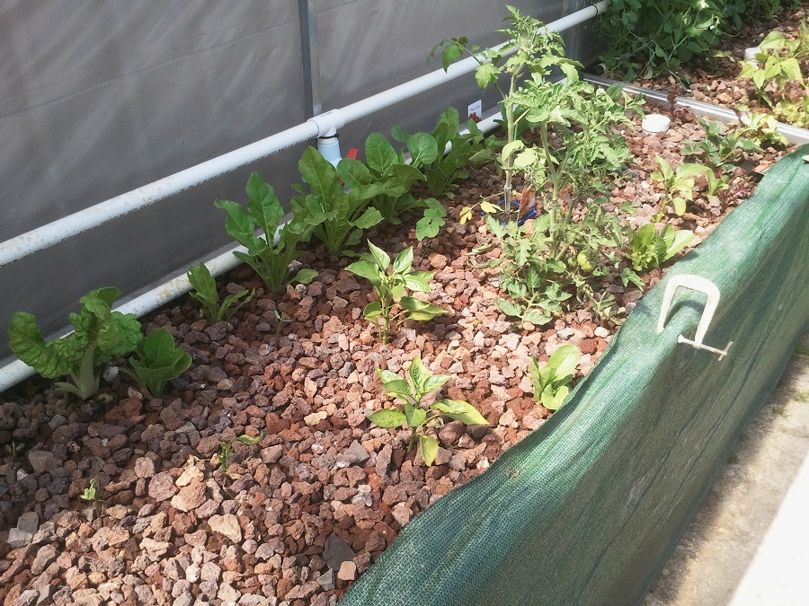 2016-11-29 10.50.07.jpg