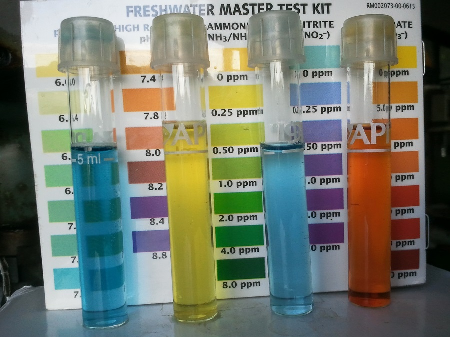 2016-11-29 19.28.38.jpg