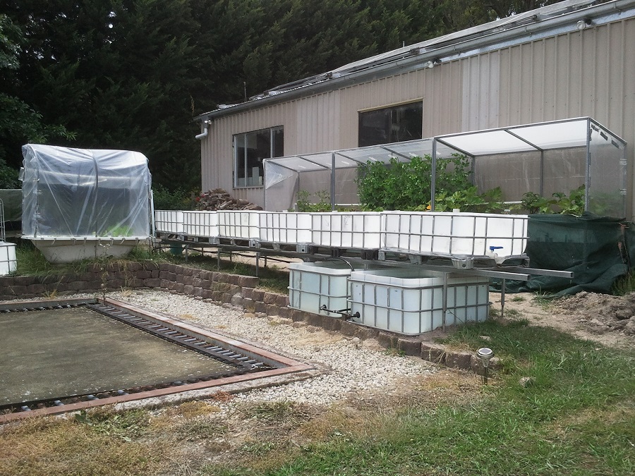 2016-12-04 11.12.42.jpg