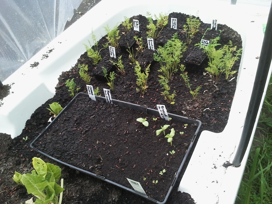 2016-12-08 11.51.18.jpg