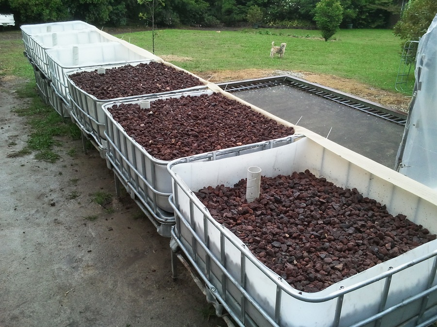 2016-12-08 11.51.00.jpg