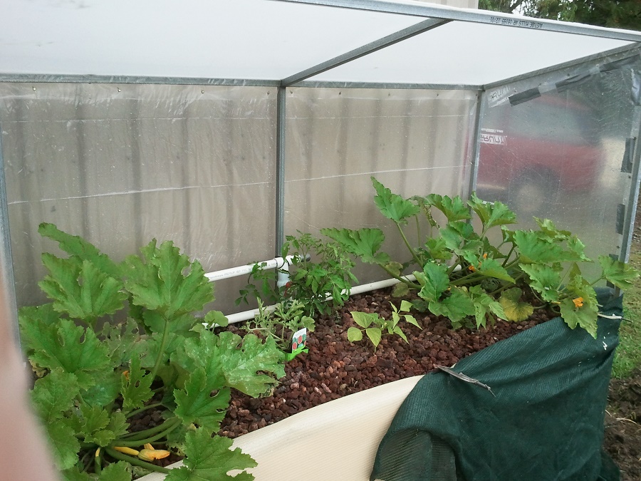 2016-12-08 11.50.36.jpg