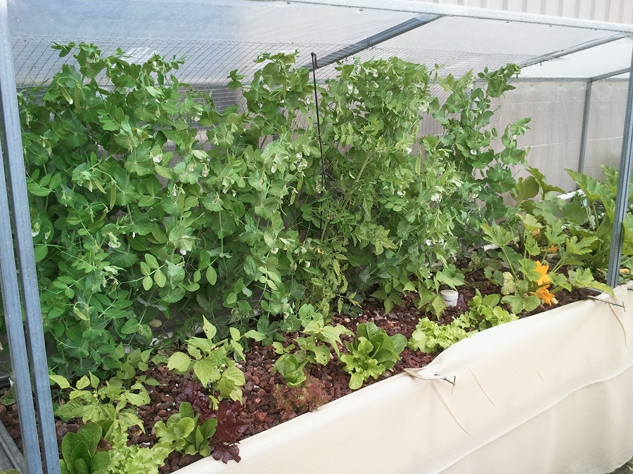 2016-12-08 11.50.20.jpg