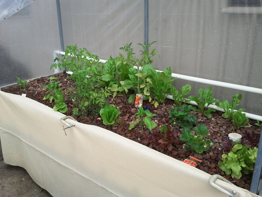 2016-12-08 11.50.05.jpg