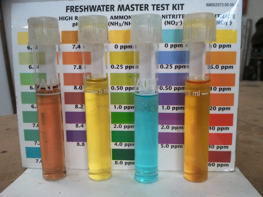 2016-12-08 13.26.59.jpg