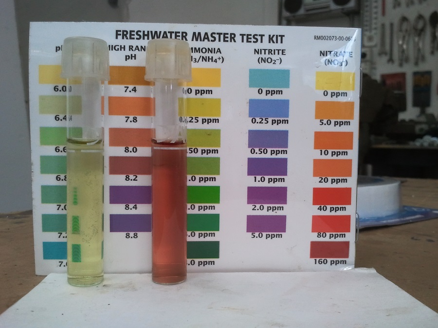 2016-12-08 16.11.49.jpg