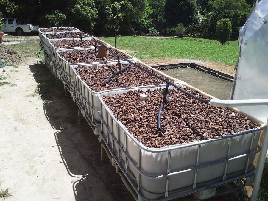 2016-12-11 14.30.07.jpg