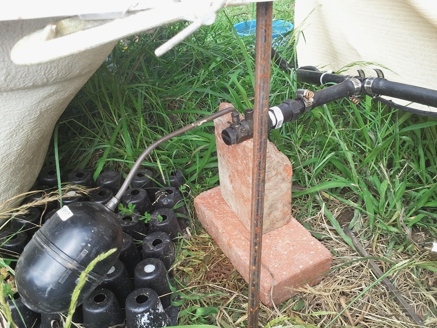 2016-12-09 16.06.46.jpg