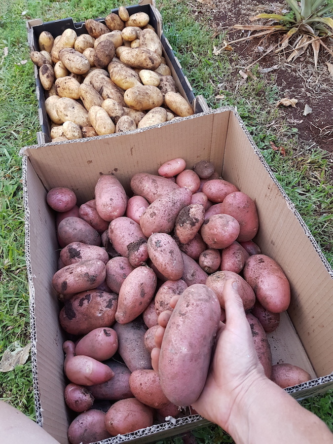 20161019_180800 copy.jpg