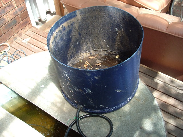 Aquaponics January 13 2008 015.jpg