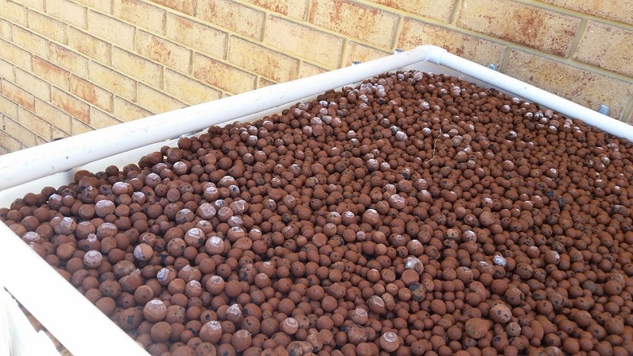 2-1-17 Salt over GB_.jpg