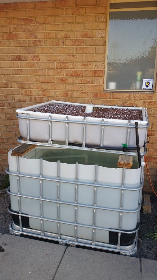 2-1-17 GB with salt_.jpg