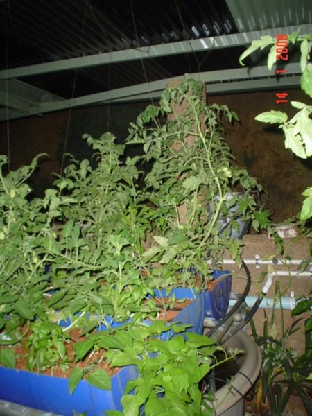 GB2 14Jan08 (Medium).JPG